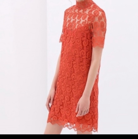 Embroidery MINI SHIFT DRESS - Picture 6 of 7